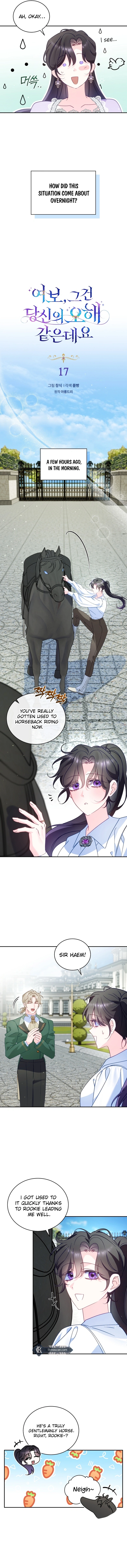 Honey, I Think That's a Misunderstanding Chapter 17 - 17 Page 3