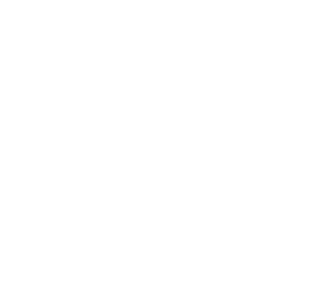 Rena Scans logo
