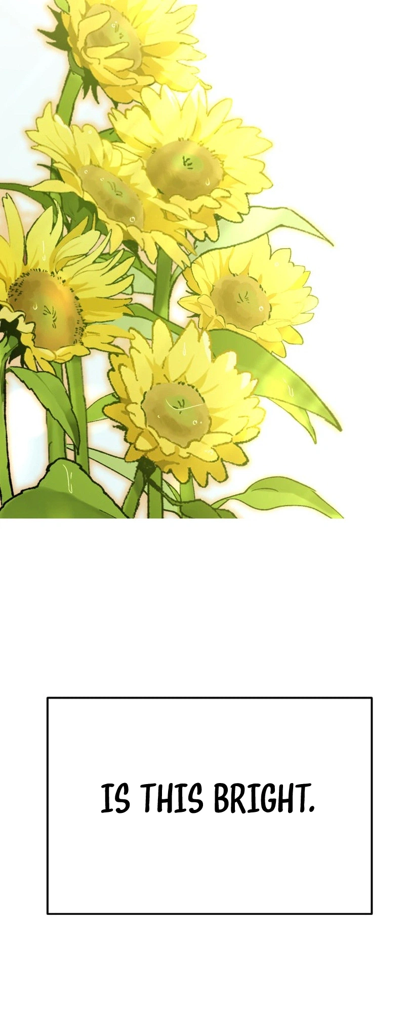 Shining Nananana Chapter 71 Page 32